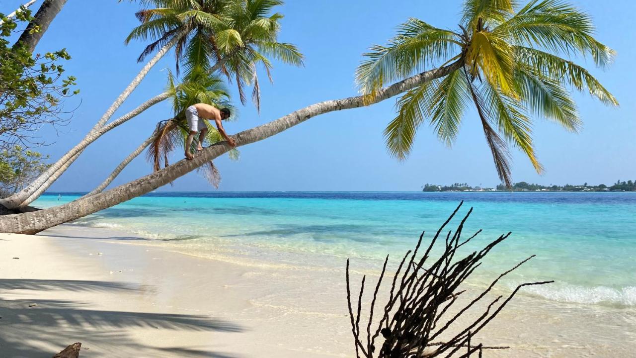 Alimas Holiday Retreat Maldives Felidhoo Exteriör bild